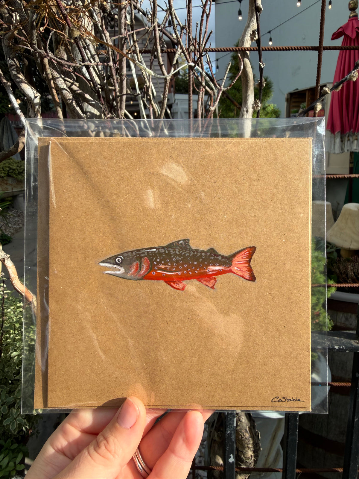 Trout card