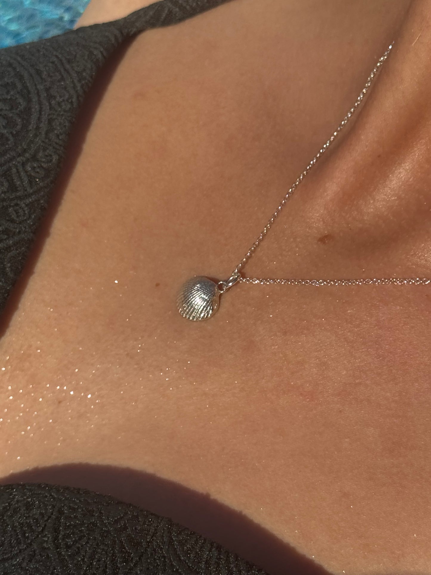 Scallop shell necklace