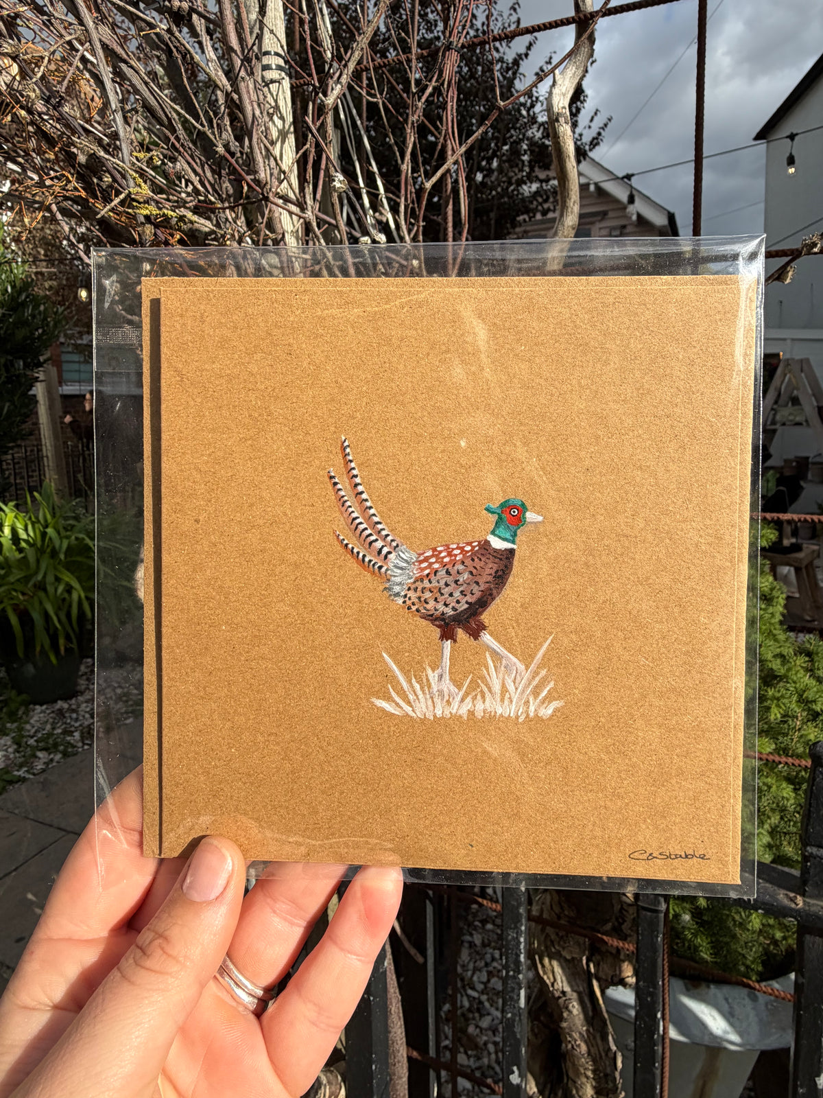 Pheasant card