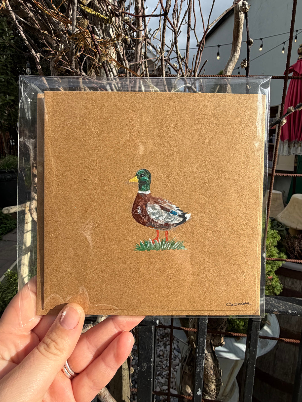 Duck gift card