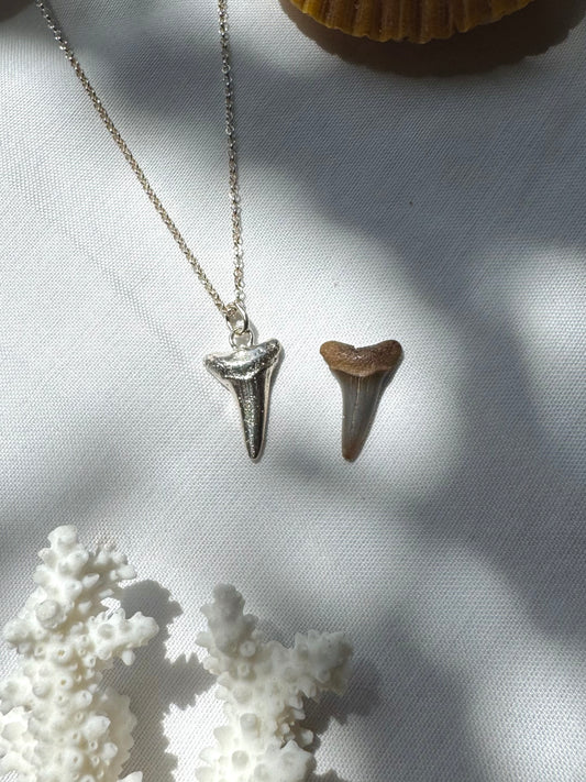 Shark tooth necklace
