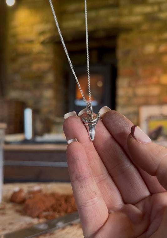Shark tooth necklace