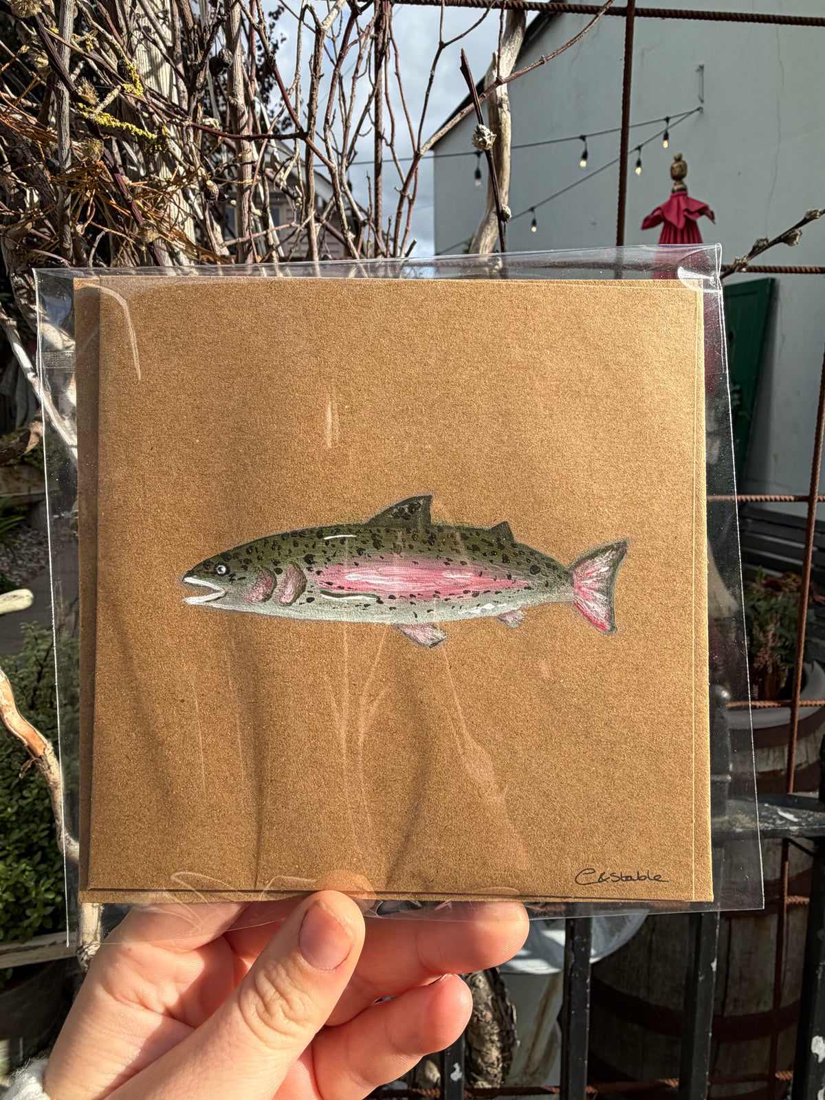 Trout card