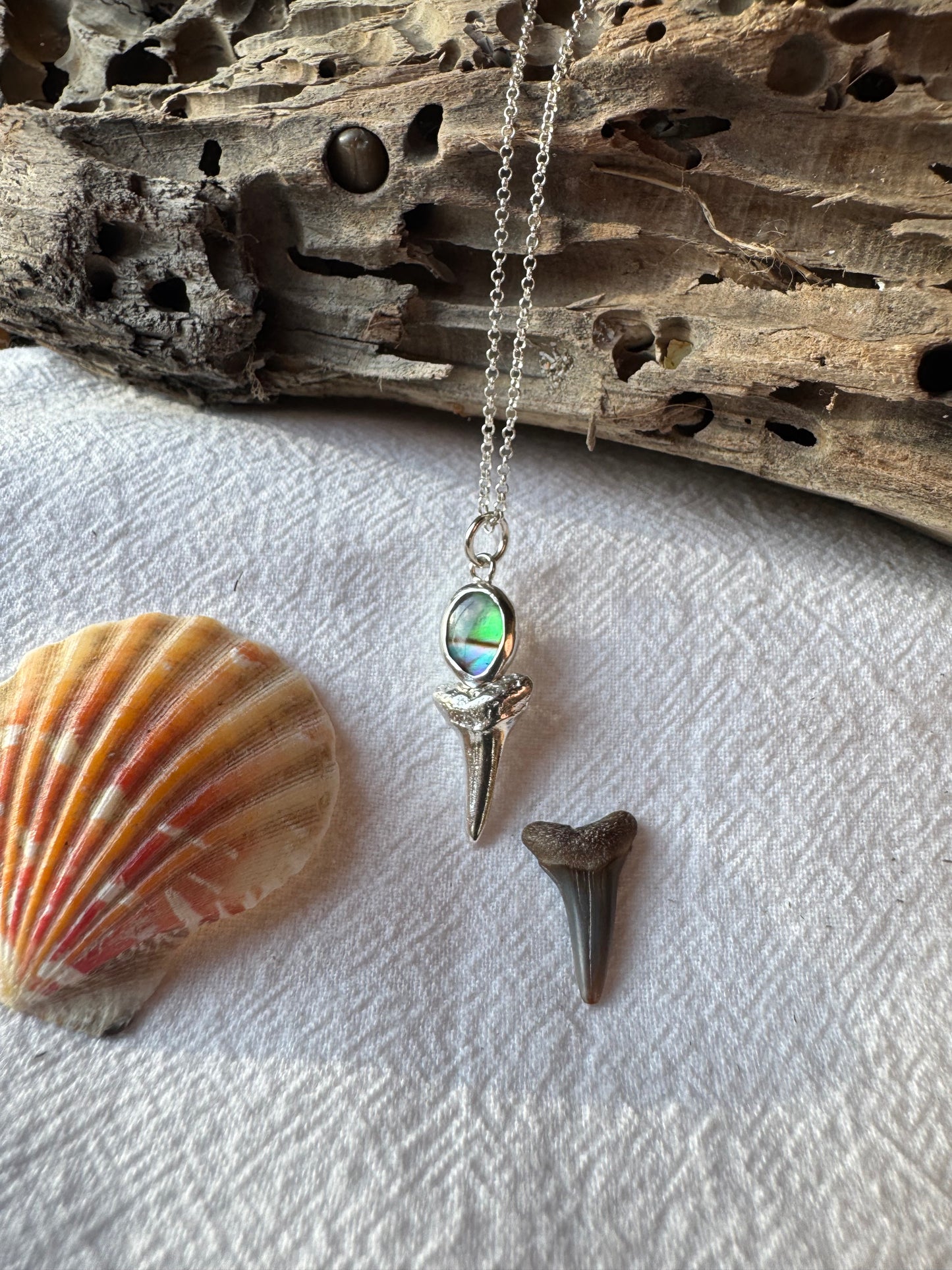 Sharks tooth and shell necklace