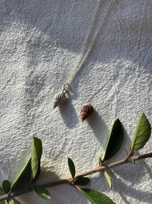 Shell necklace